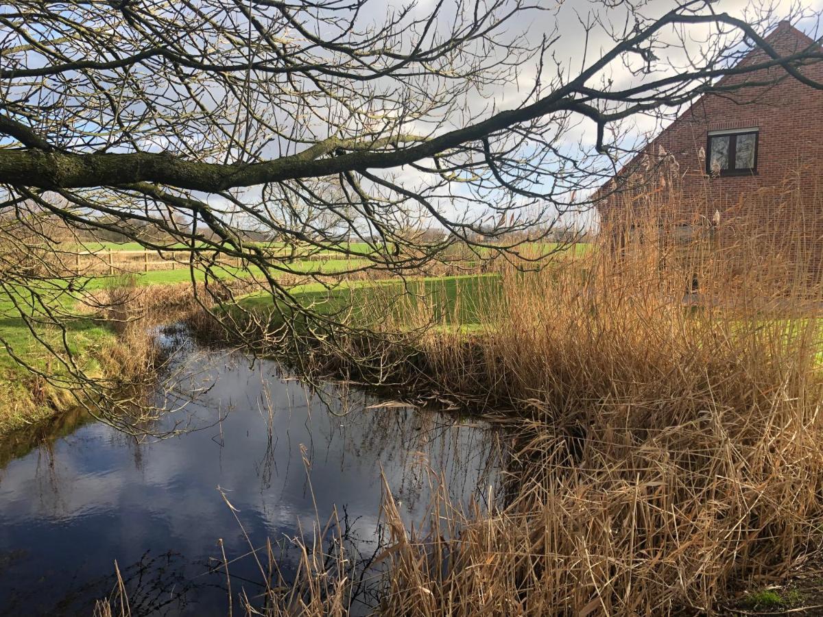 De Reynaarthoeve Assenede Bagian luar foto